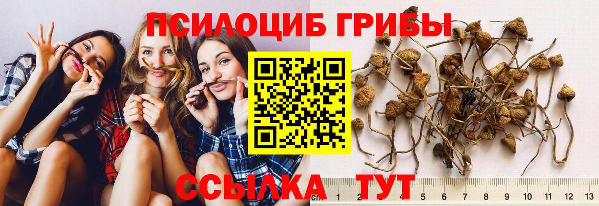 Псилоцибиновые грибы Magic Shrooms  Псилоцибиновые грибы Psilocybe  магазин    Вход с VPN  Каспийск 